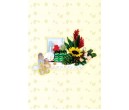 CH8112<br/>New Born